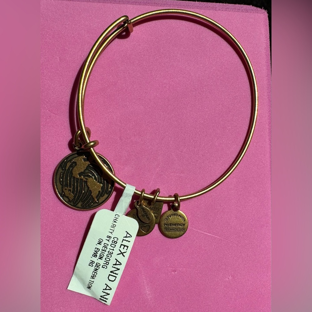 NEW Alex and Ani bracelet